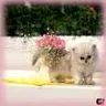 Marishka:)