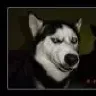 Lazik
