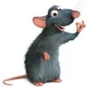 Ratatuj