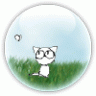 Kitty