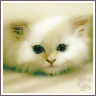 -Tatasha-