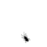 Rusik12