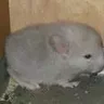 КнОпИтОпИк