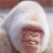 seekerman