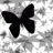 TheLastEternity