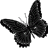 SPod