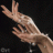 alena_design