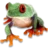 капарчук