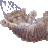 Valerij