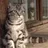 _Maksym_