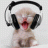 speaker_leha