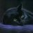 Black Panther