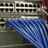 netbuilder