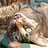 Tomcat