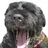 bobby_s