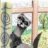 Timon4ik