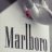 marlboros