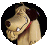 Herder
