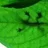Ecolife