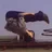 QwNinja