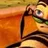 -bee