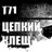 Ирина_Т71