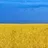 грач42