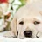 Asti_Mondoro