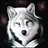 nansen345
