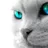 CheshireCat