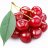 Cherry555