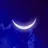 Moonshiner