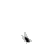 Rusik12