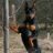 Zidan.Z