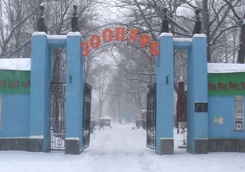 photo_big.jpg