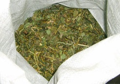 photo_big.jpg