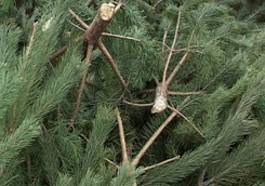 photo_big.jpg