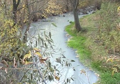 photo_big1.jpg
