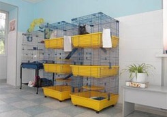 photo_big.jpg