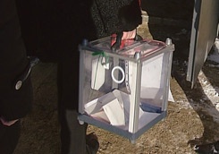 photo_big.jpg