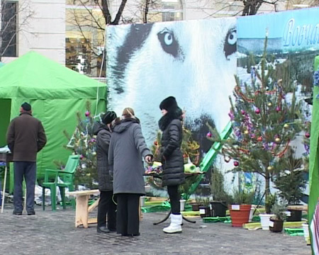 snapshot20121210150151.jpg