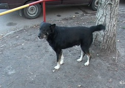 photo_big.jpg