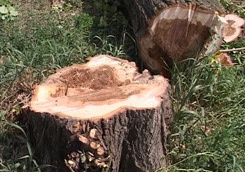 photo_big.jpg