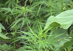 photo_big.jpg