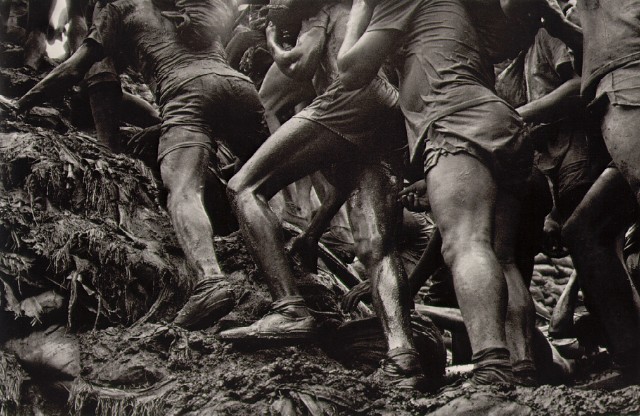 salgado_going_up.jpg