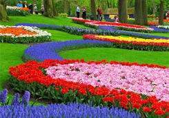 photo_big.jpg