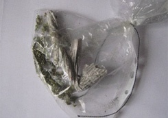 photo_big.jpg