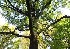 photo_big.jpg