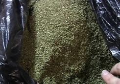 photo_big.jpg