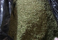 photo_big.jpg